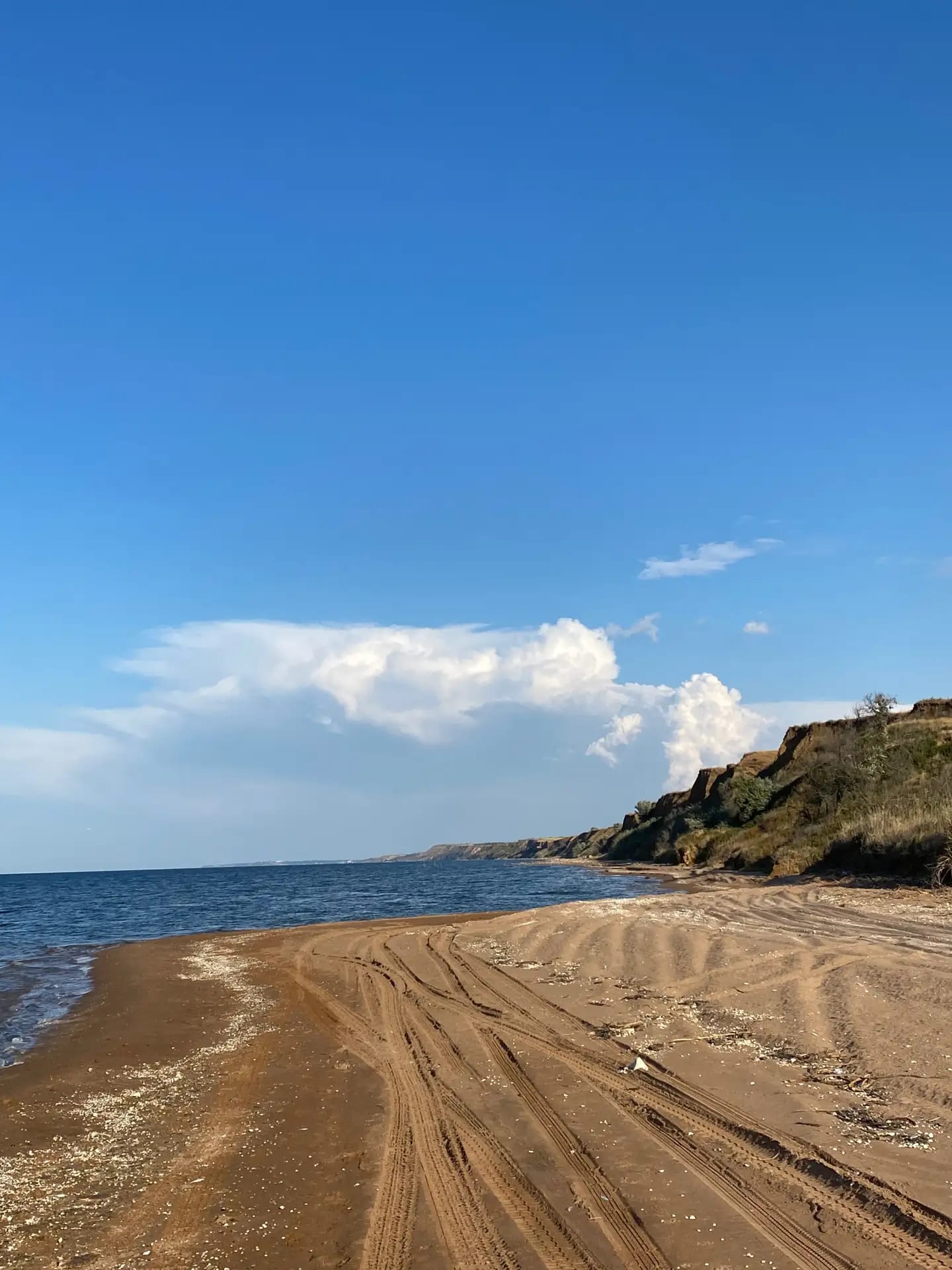 Морской Романтик на Диких Берегах